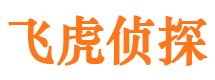 大竹寻人公司